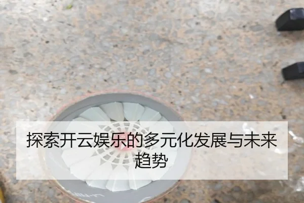 探索开云娱乐的多元化发展与未来趋势